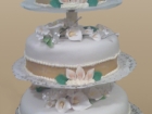 Torta 22